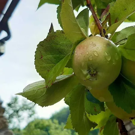 Casa di campagna Borda Batista