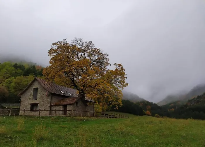 Borda Batista 乡村民宿 *